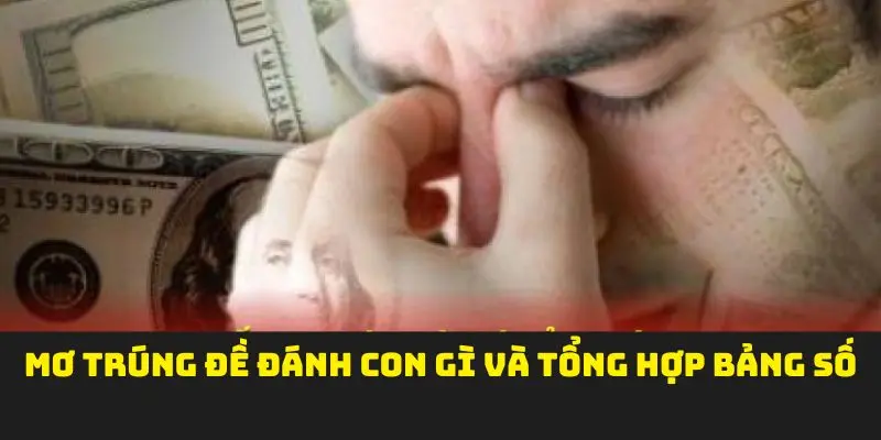 Trúng đề điềm báo gì cho bạn tại 123B