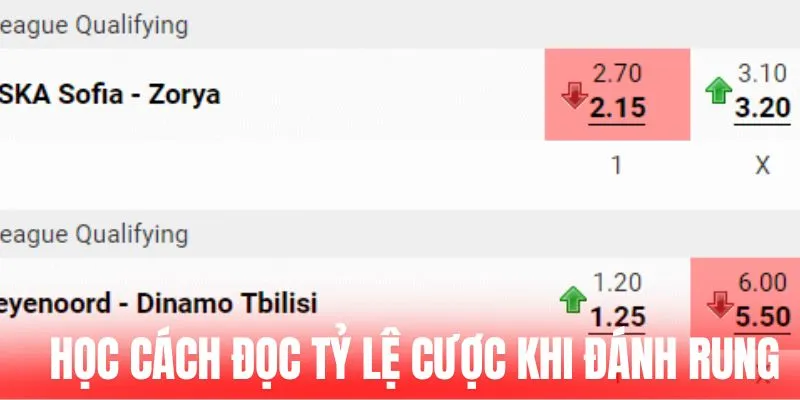 Học cách đọc tỷ lệ cược khi đánh rung