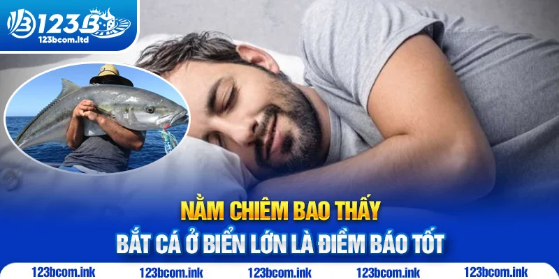 Nằm chiêm bao thấy bắt cá ở biển lớn là điềm báo tốt