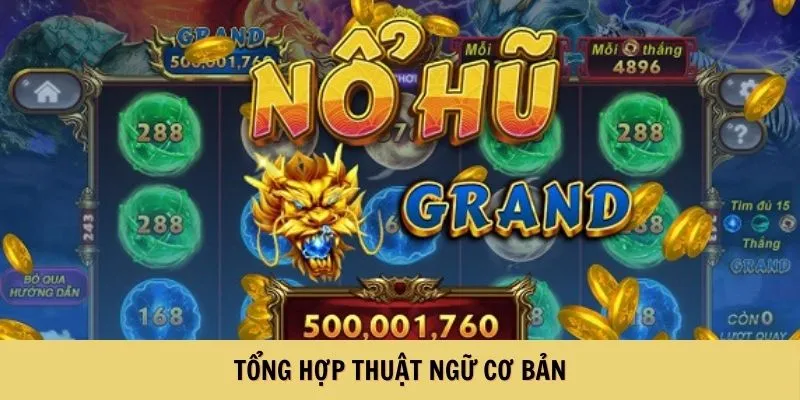 Tổng hợp thuật ngữ cơ bản